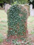 image of grave number 363174